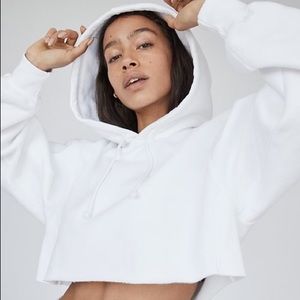 Aritzia TNA cropped hoodie